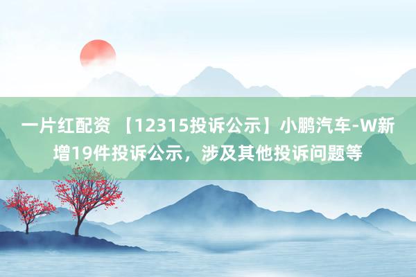 一片红配资 【12315投诉公示】小鹏汽车-W新增19件投诉公示，涉及其他投诉问题等