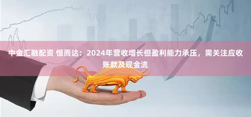 中金汇融配资 恒而达：2024年营收增长但盈利能力承压，需关注应收账款及现金流