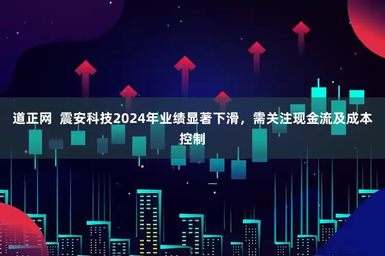 道正网  震安科技2024年业绩显著下滑，需关注现金流及成本控制