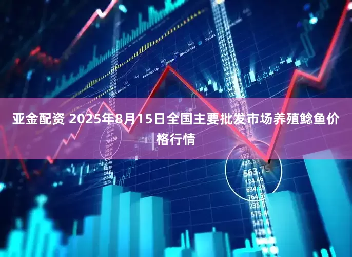 亚金配资 2025年8月15日全国主要批发市场养殖鲶鱼价格行情